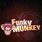 Funky Monkey game thumbnail